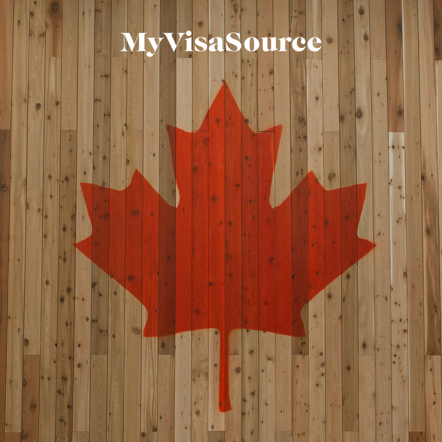 canadian red maple leaf over painted over wood panel my visa source