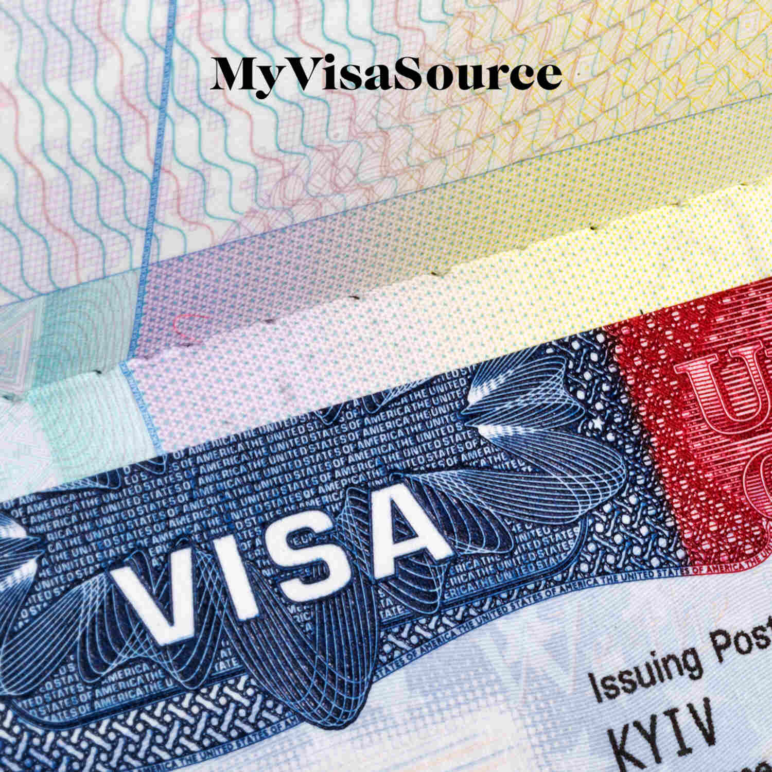 Виза b211. Рабочая виза. Рабочая виза в США. Виды виз в США. Visa USA.